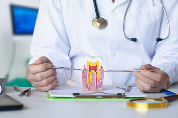 Best Broken Tooth Emergency  in Mountain View, AR
